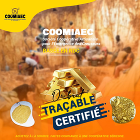 COOMIAEC (Société coopérative artisanale pour l’émergence des creuseurs)